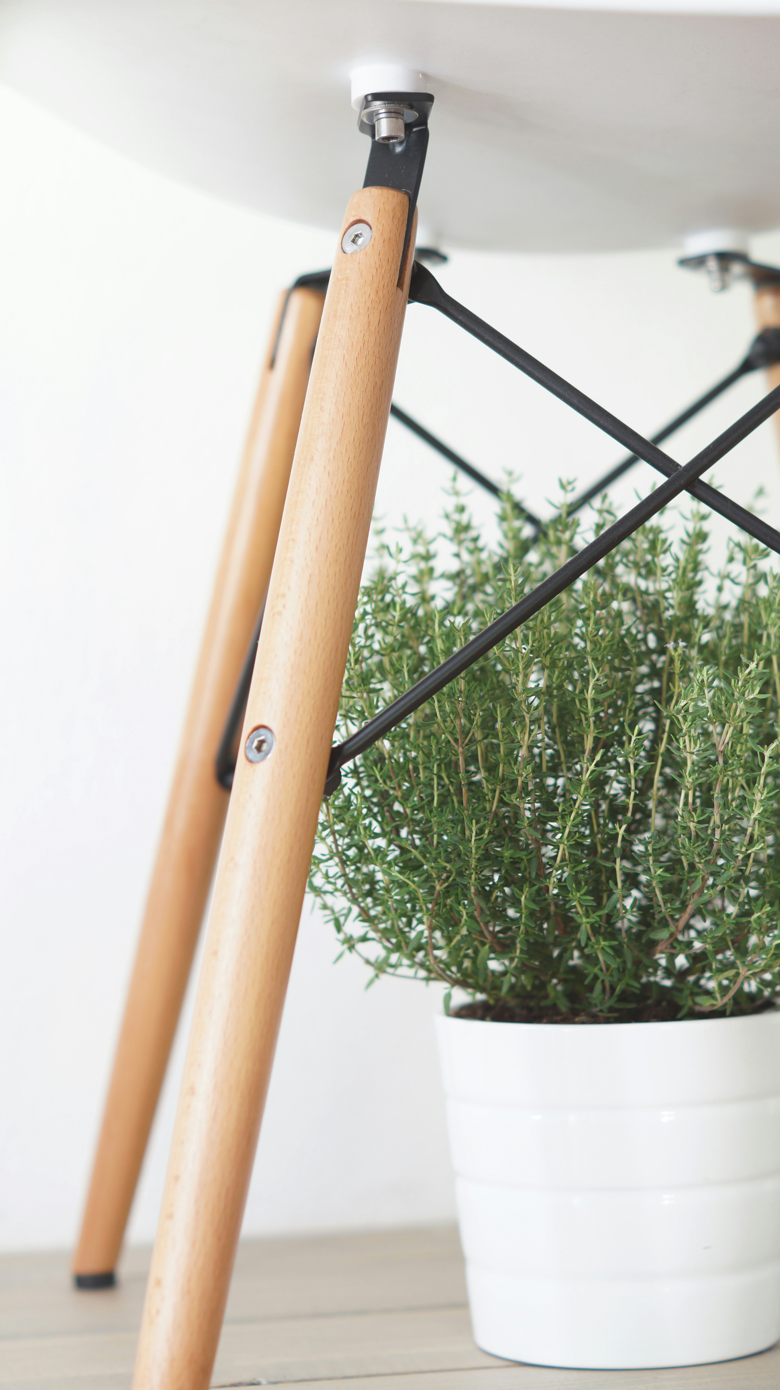 Free Unsplash photo from Ive Erhard