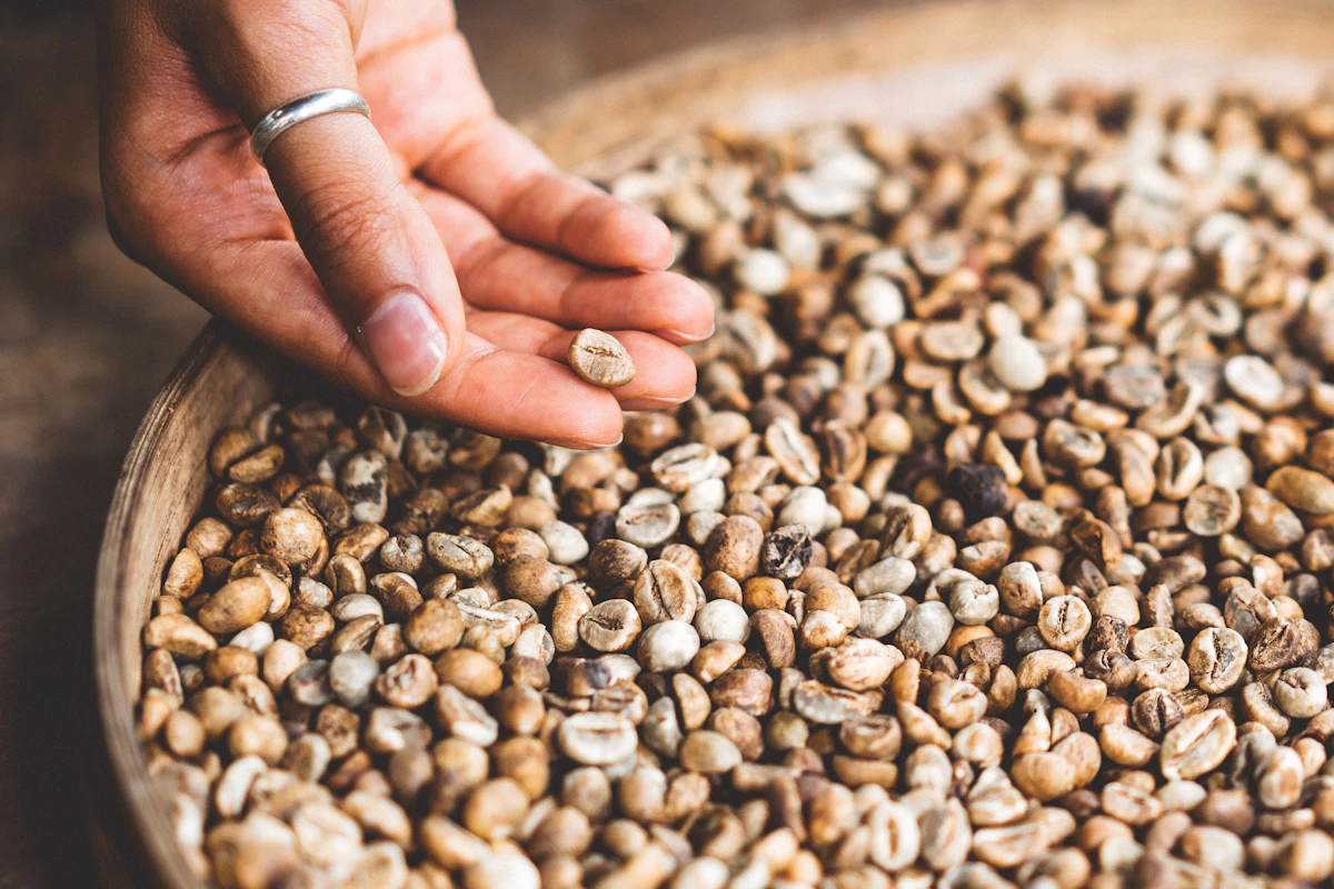 Kelengkapan dokumen ekspor kopi termasuk PEB, Certificate of Origin, dan Phytosanitary Certificate yang disiapkan untuk proses kepabeanan