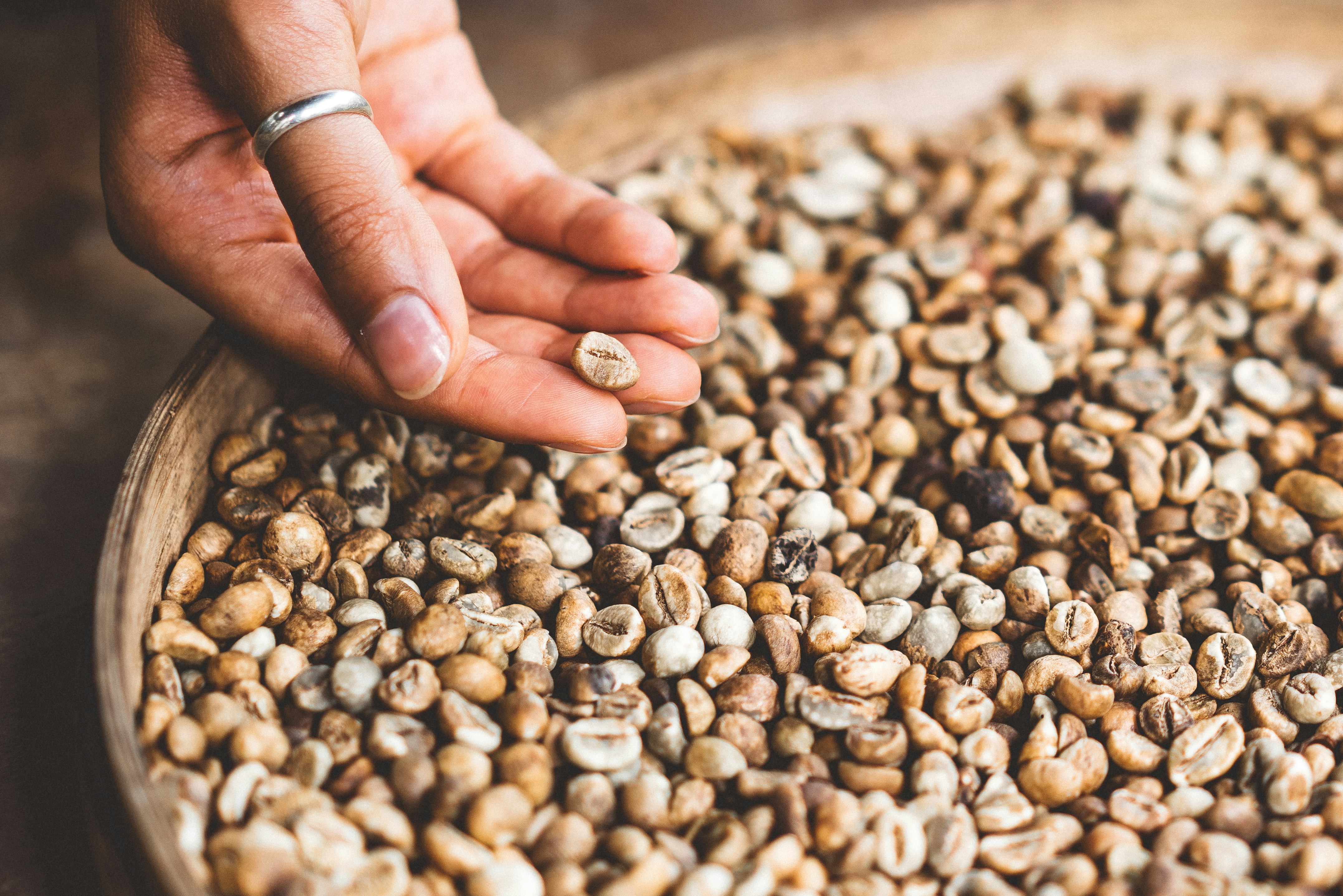 New Grain Supply Chain in Scotland
