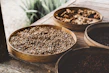 Colorful assortment of organic vegetable seeds packets displayed on rustic wood