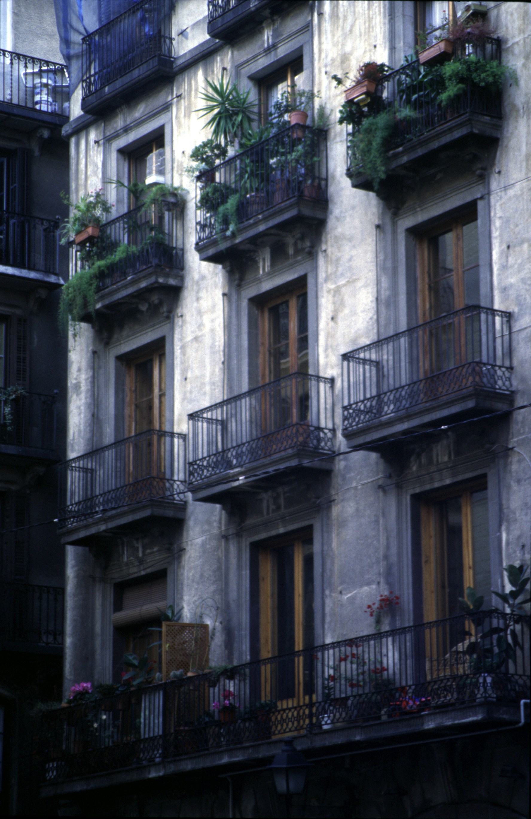 Free Unsplash photo from Çınar Örge