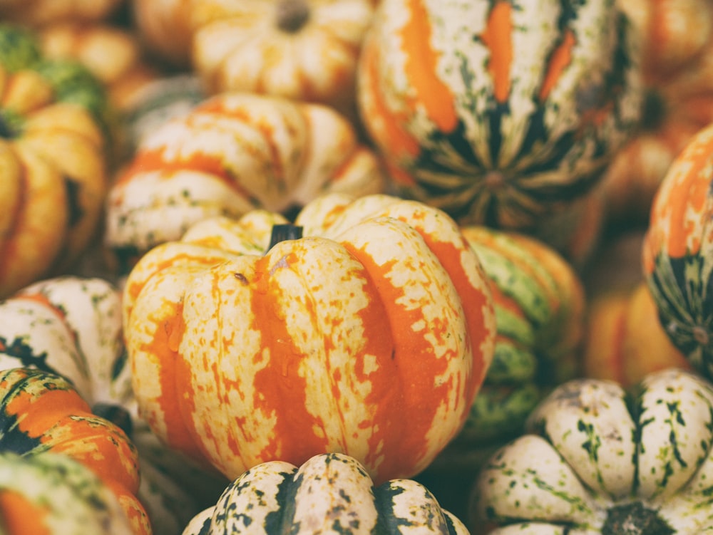 selective focus photography of pumpkins