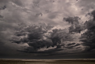 A dramatic sky over a windswept landscape, capturing the raw power of an approaching storm.