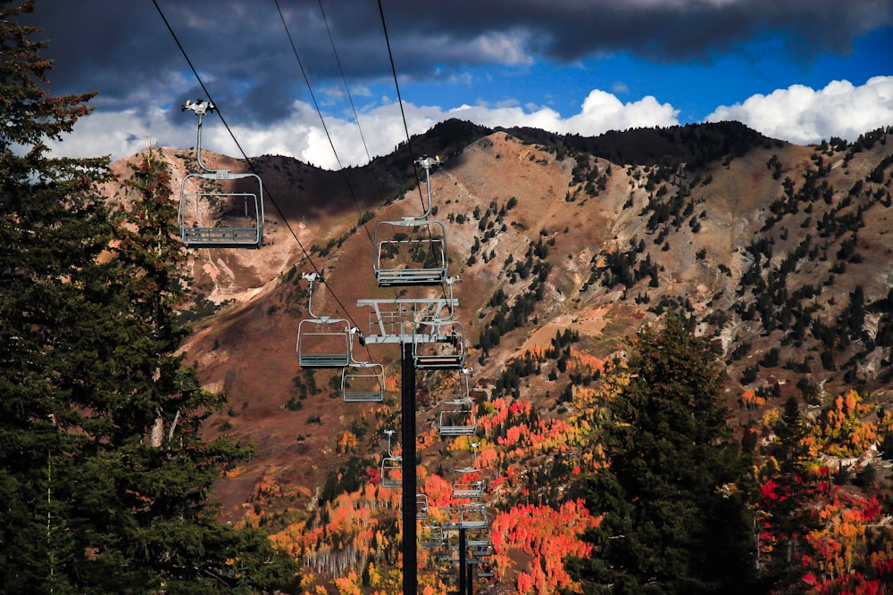 shallow focus photography of cable car