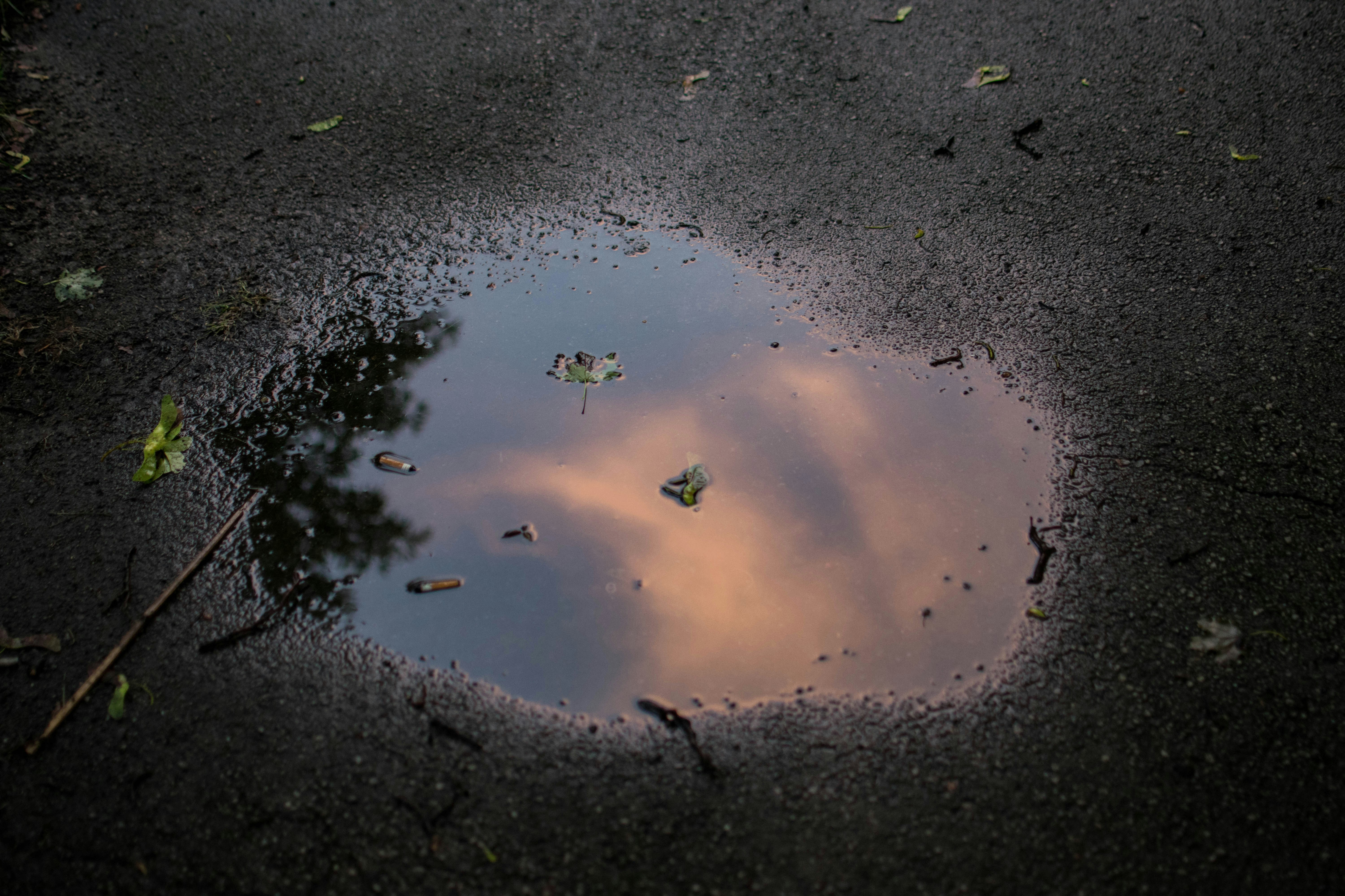 Free Unsplash photo from Caleb Rogers