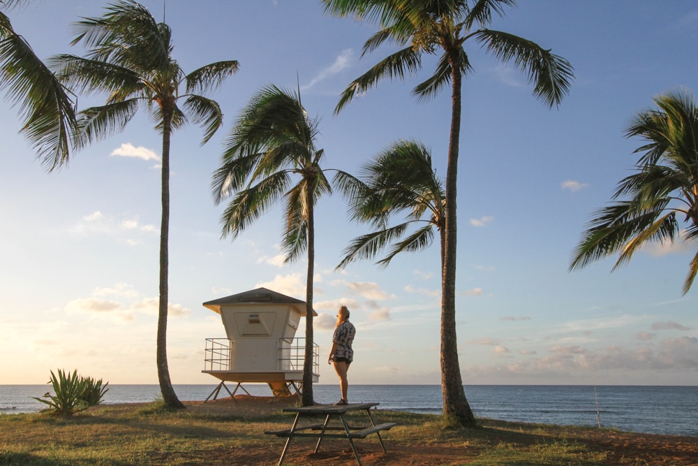 Beautiful beachfront shot in Hawaii.