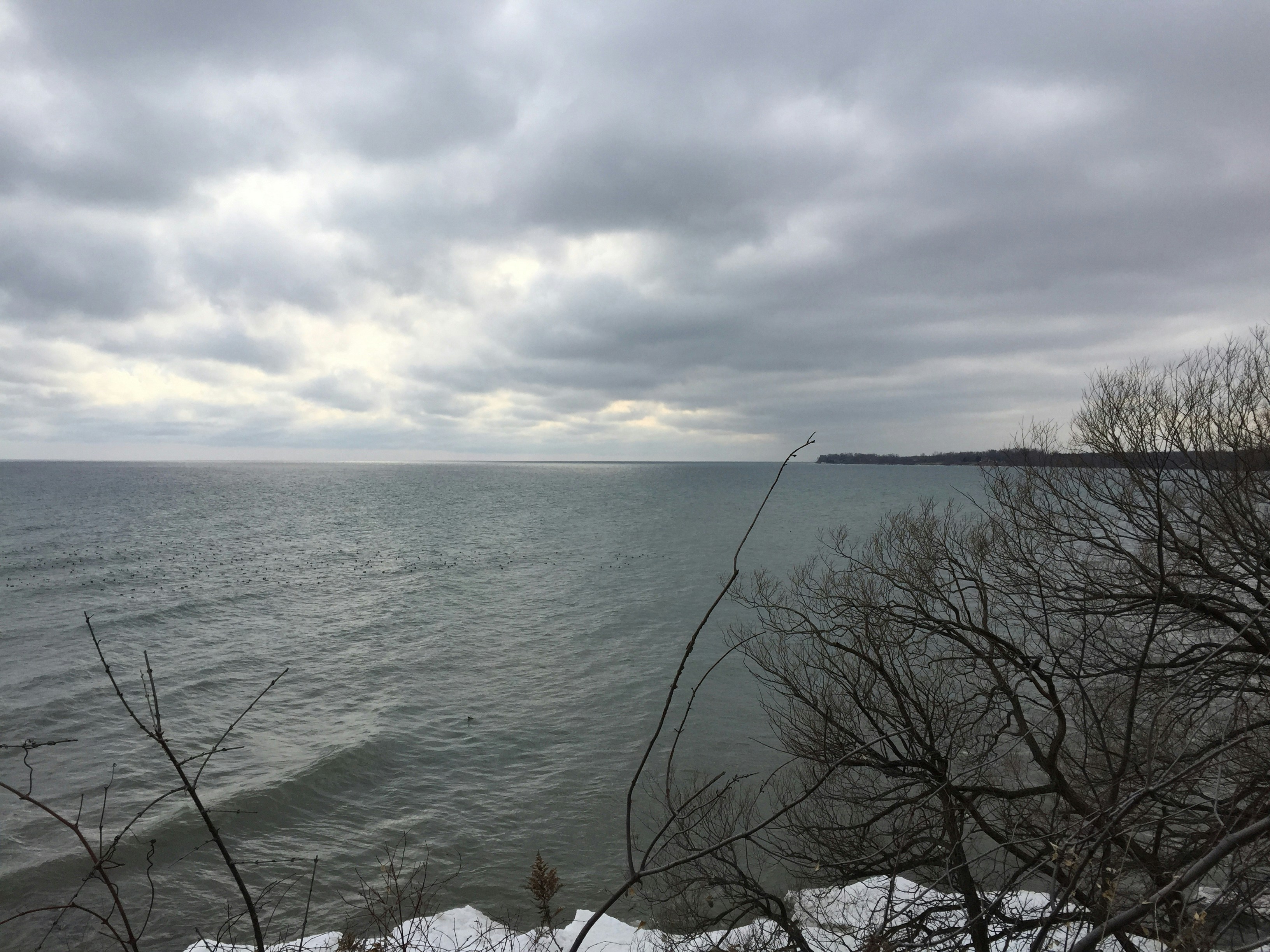 Free Unsplash photo from Catherine Wang