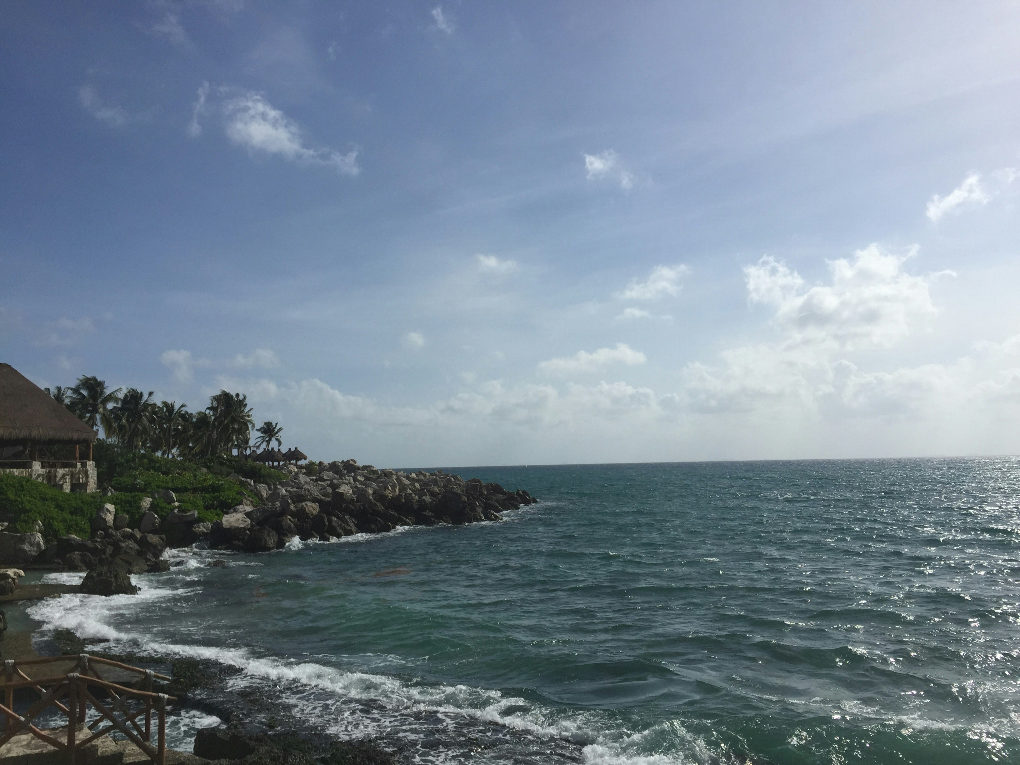 Free Unsplash photo from Catherine Wang