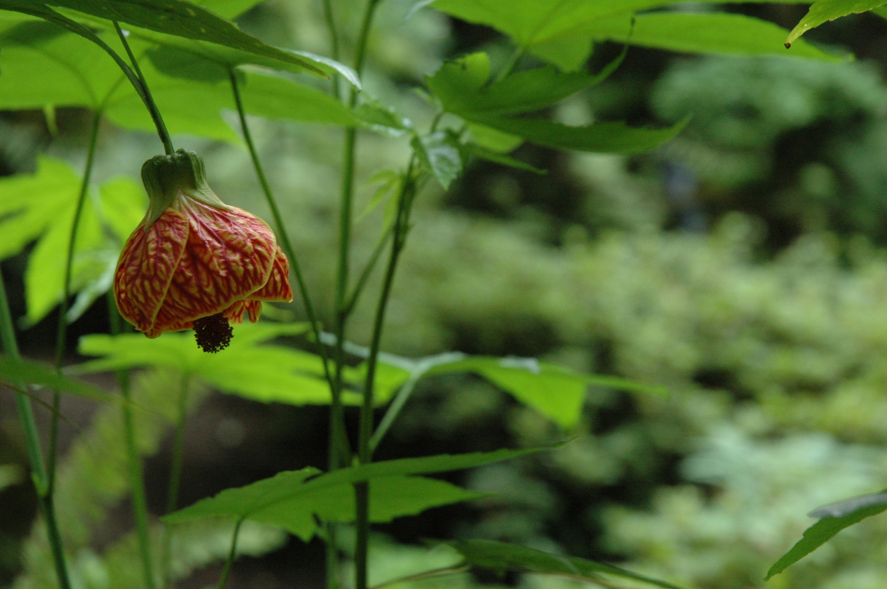 Free Unsplash photo from Catherine Wang