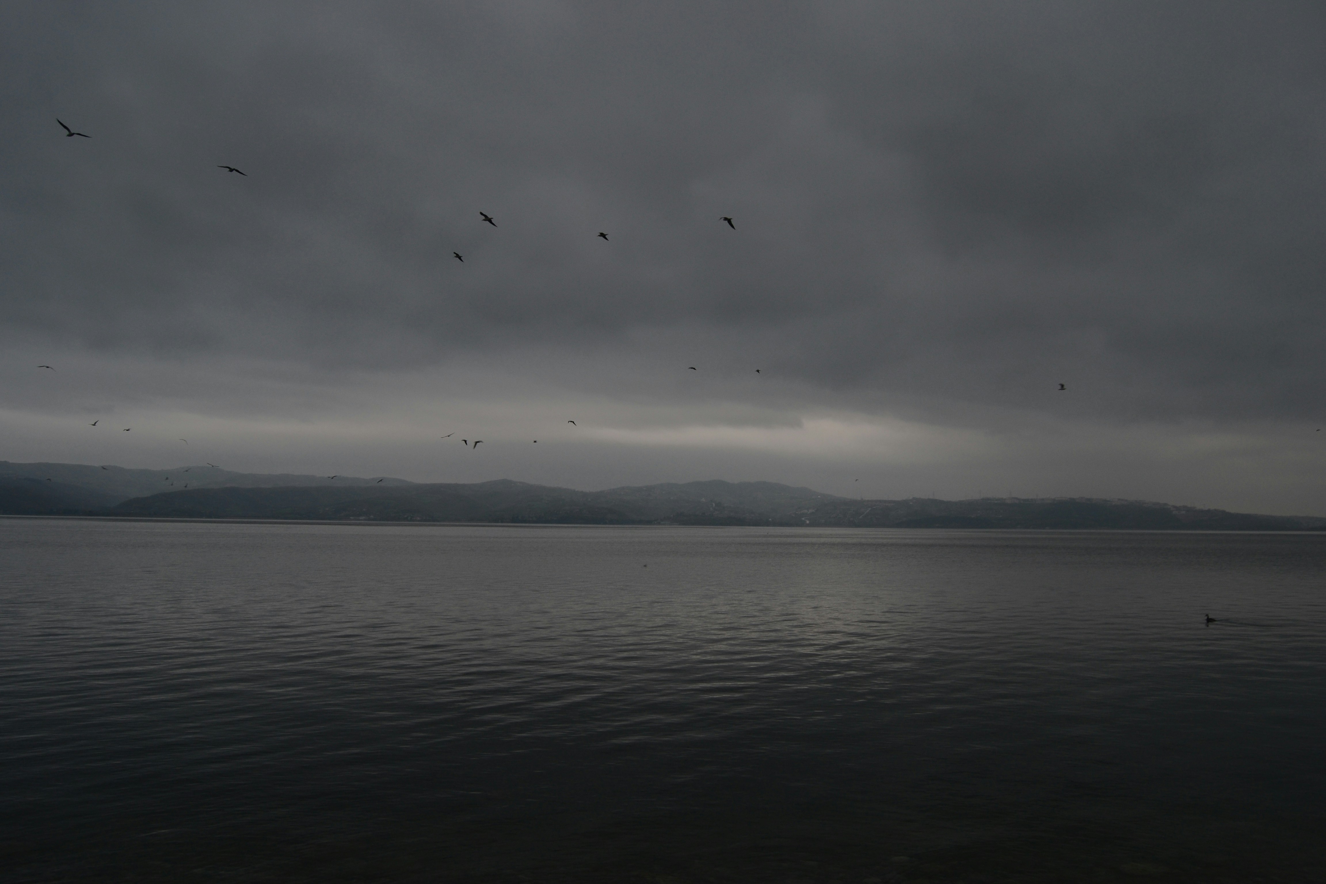 Free Unsplash photo from Fevzi Yıldırım