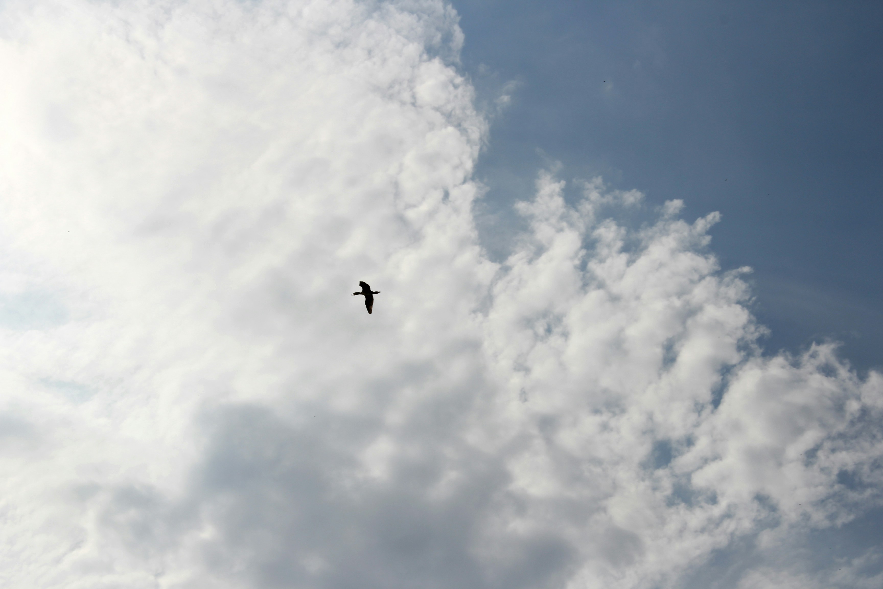 Free Unsplash photo from Cel Tico Petit