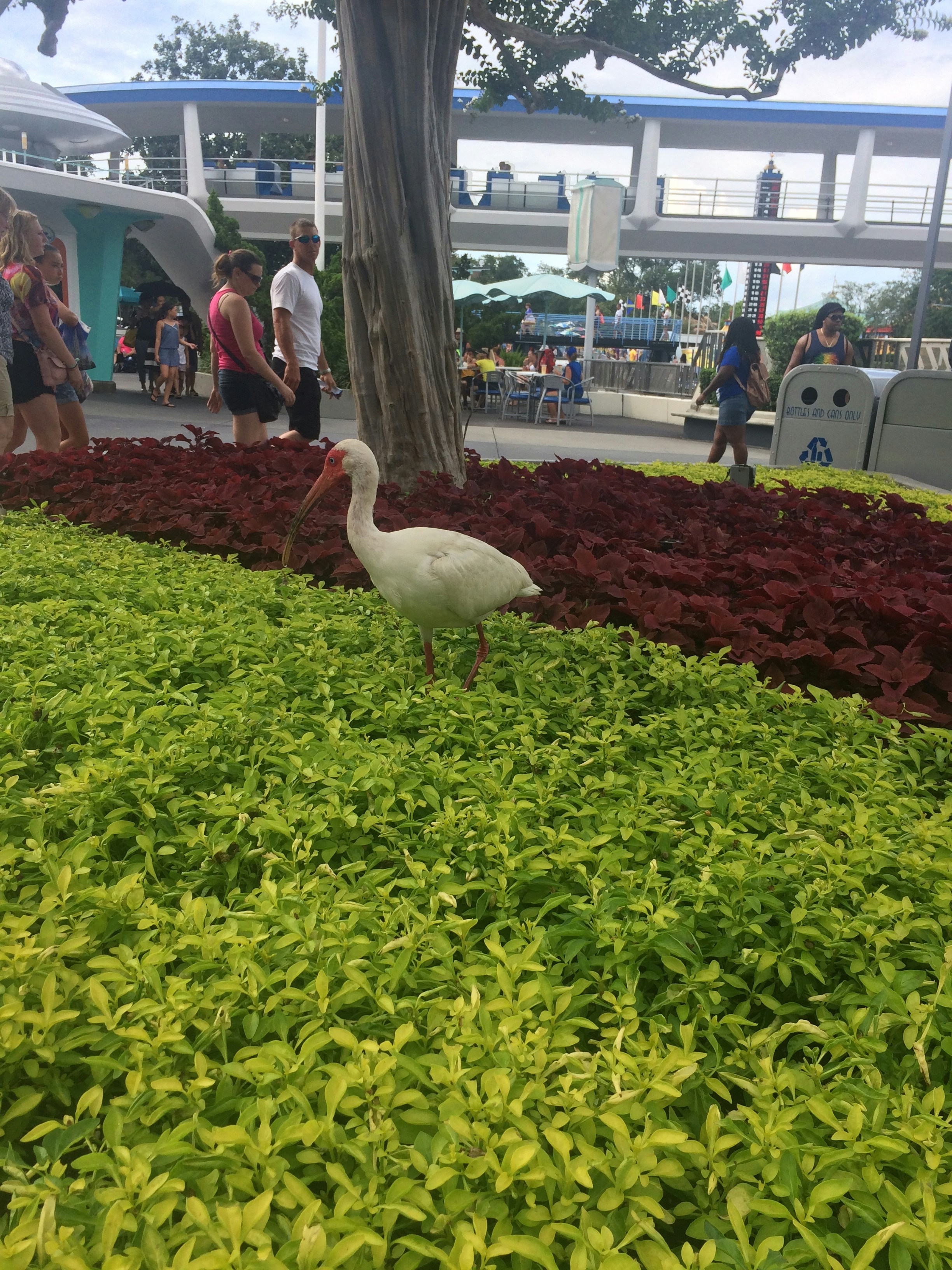 Free Unsplash photo from Mary Vaughn