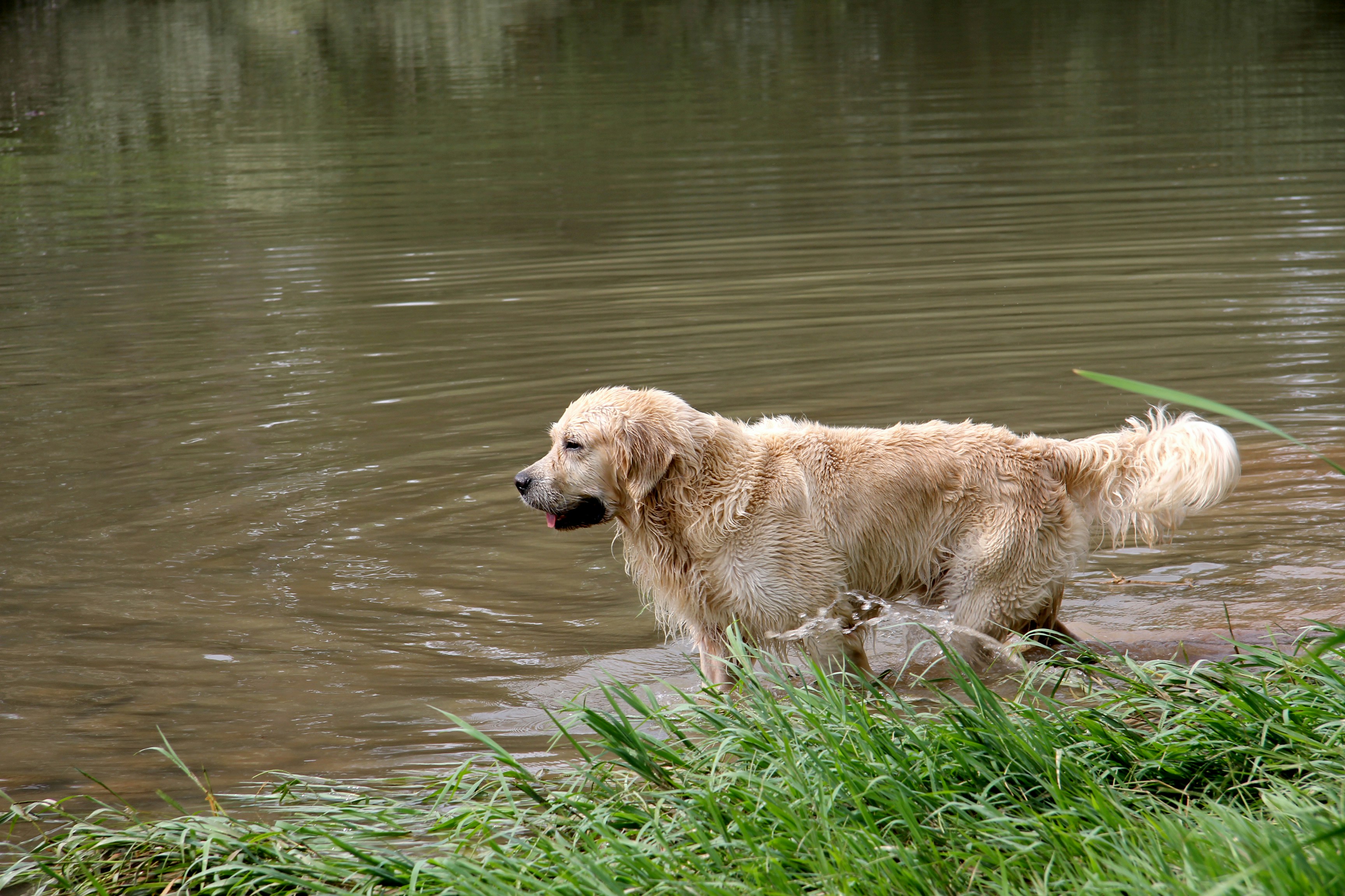 Free Unsplash photo from Cel Tico Petit