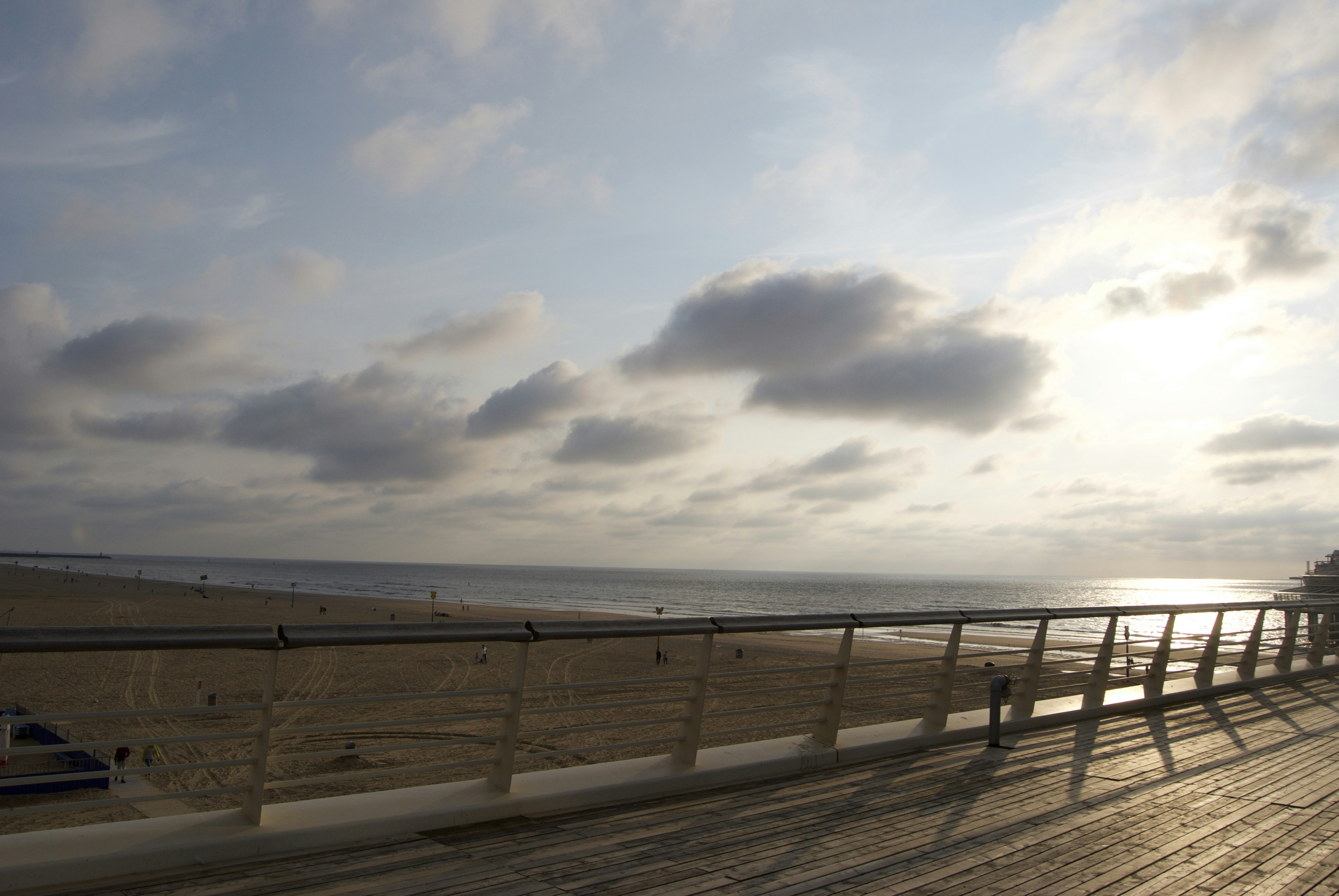 Free Unsplash photo from diane yu