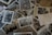 A close-up of an old family tree chart with faded photographs and handwritten notes.