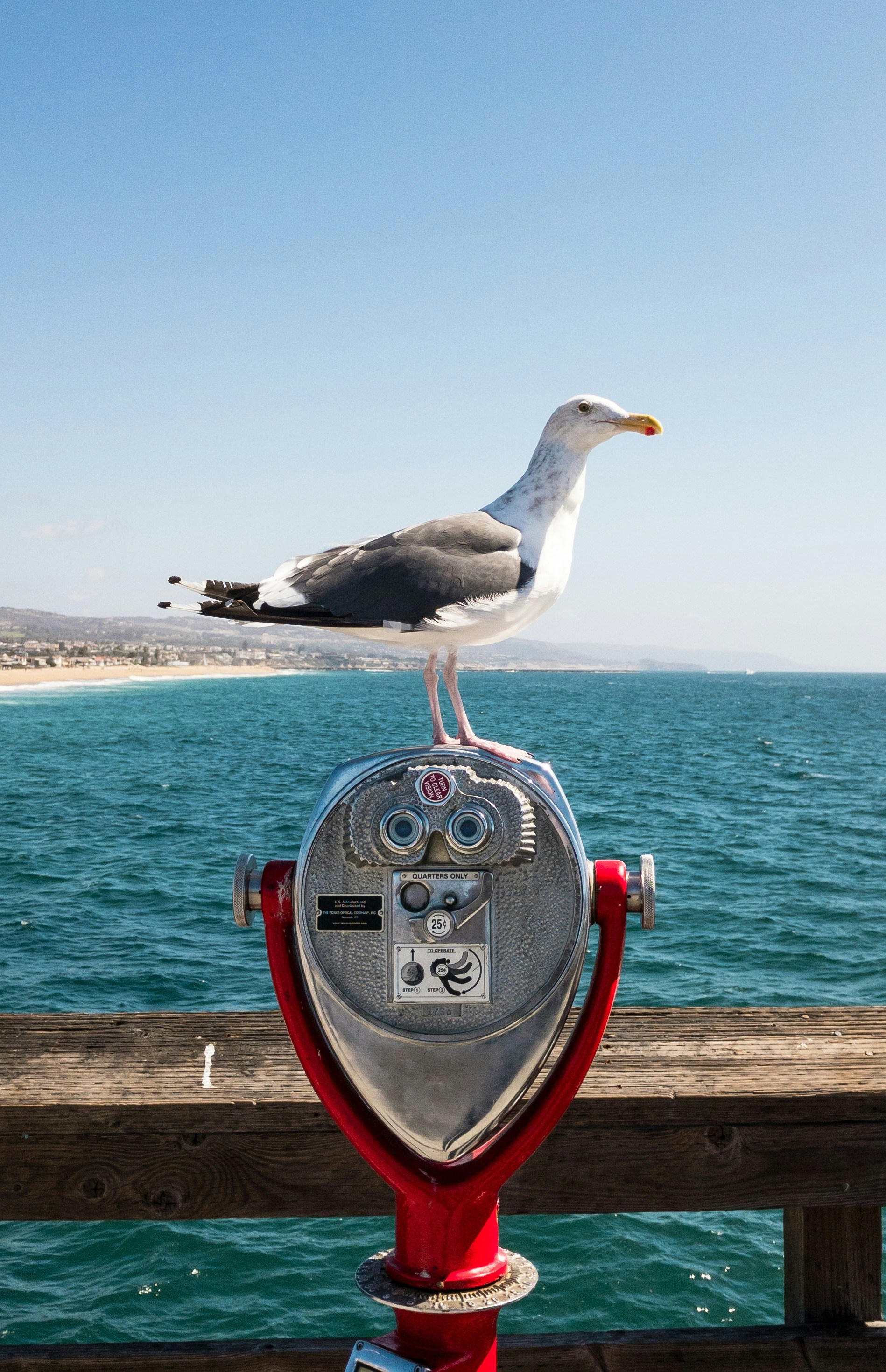 Free Unsplash photo from Christian Van Bebber