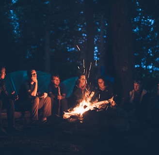 people having a bonfire