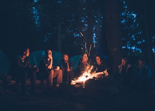 people having a bonfire