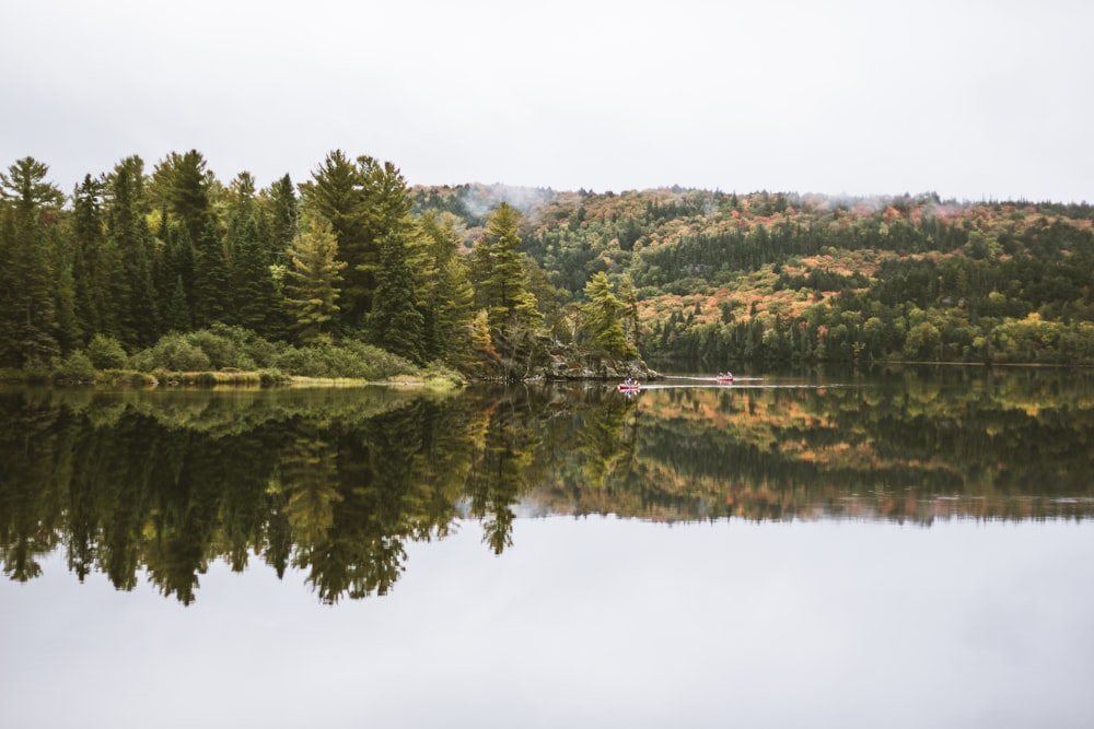 lake in forest under white sky nature photography