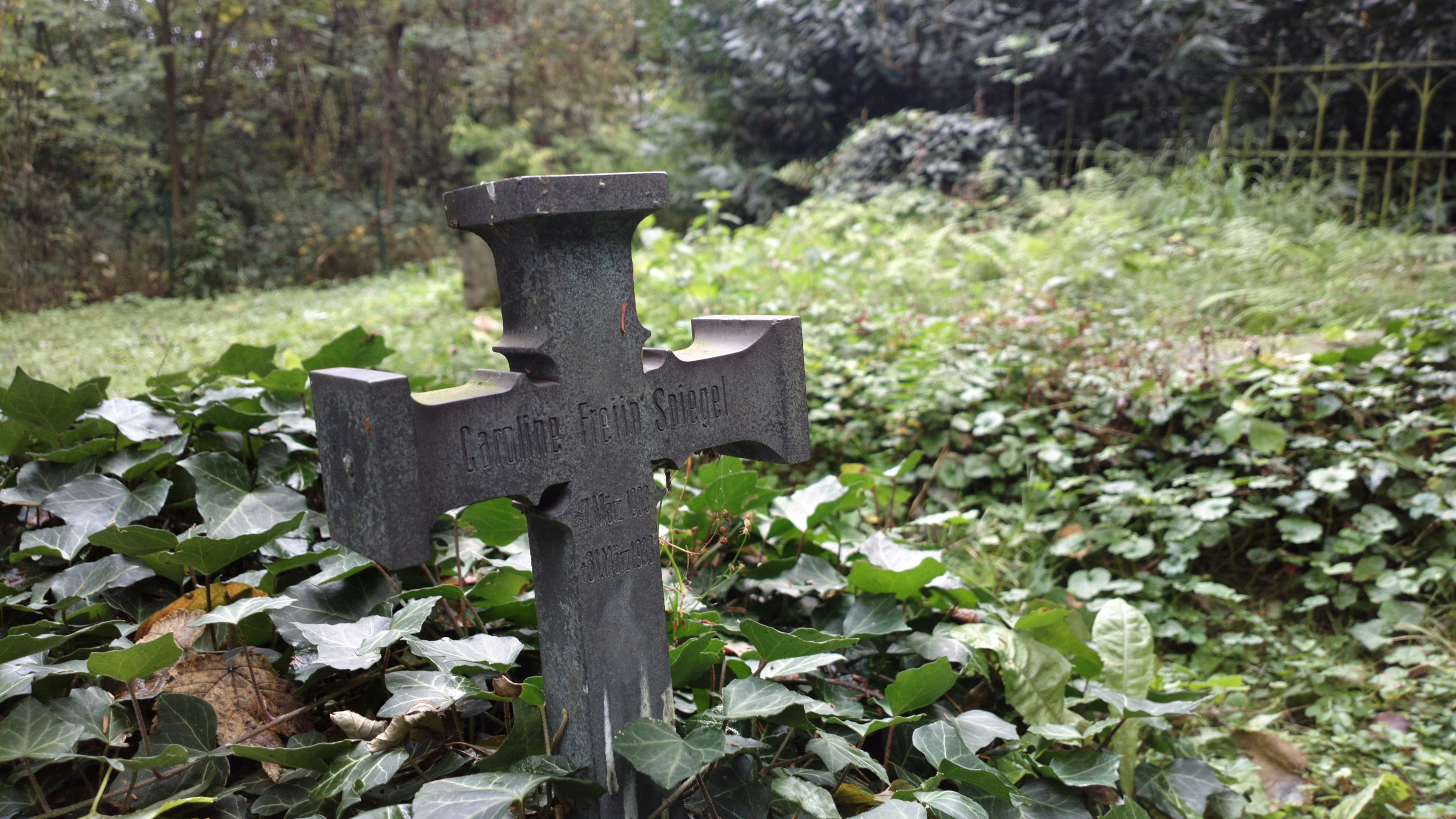 Free Unsplash photo from moeller