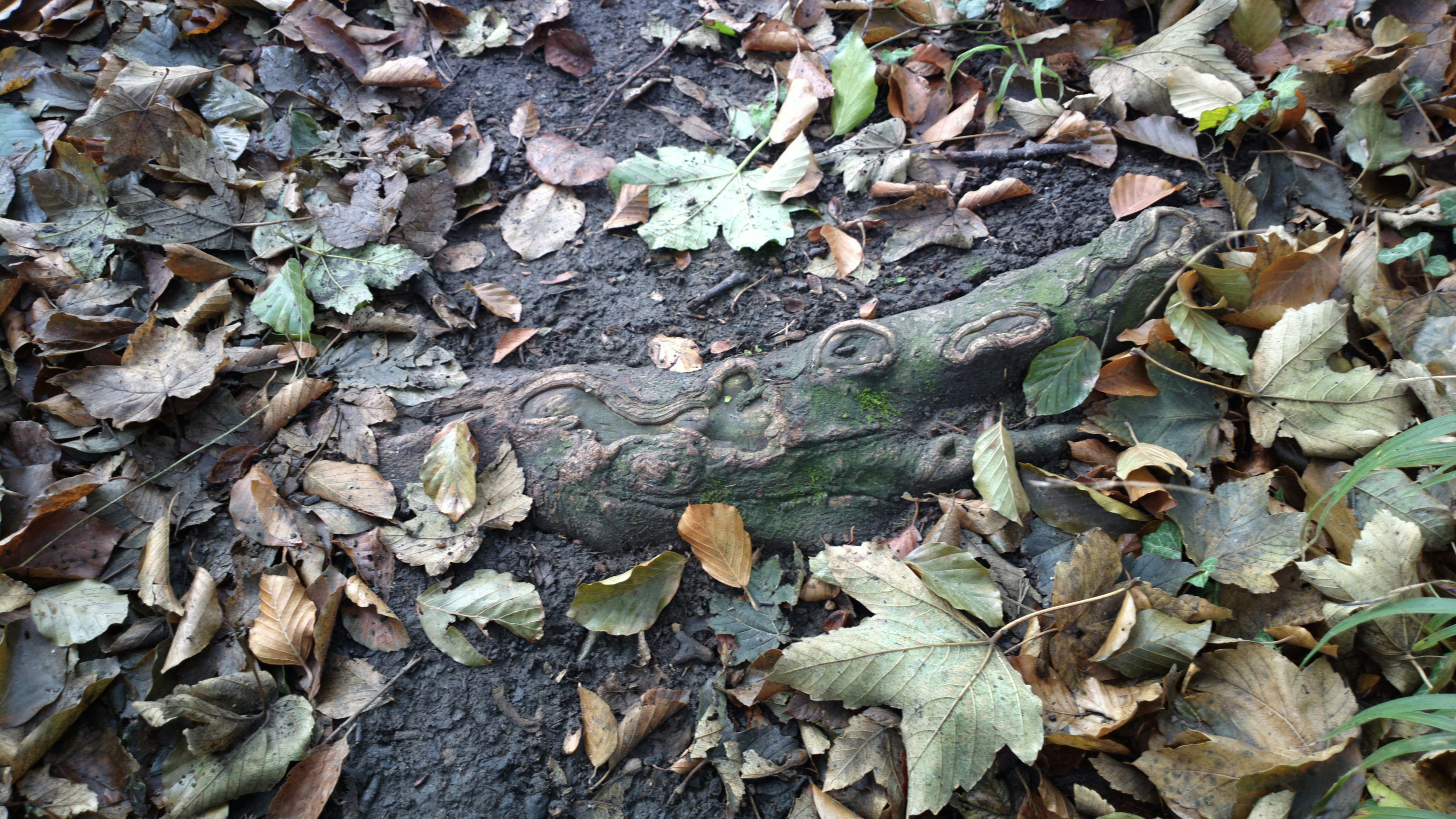 Free Unsplash photo from moeller