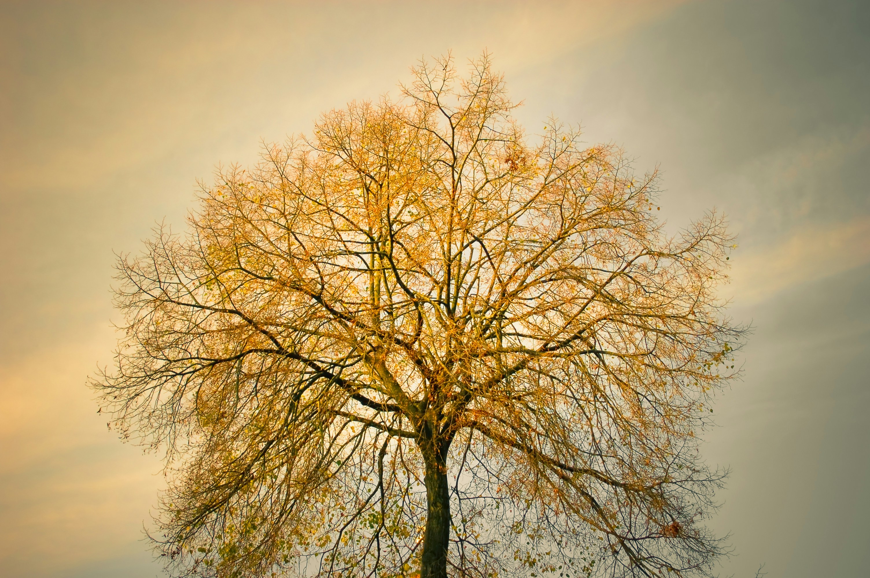 Free Unsplash photo from Nan Zhang