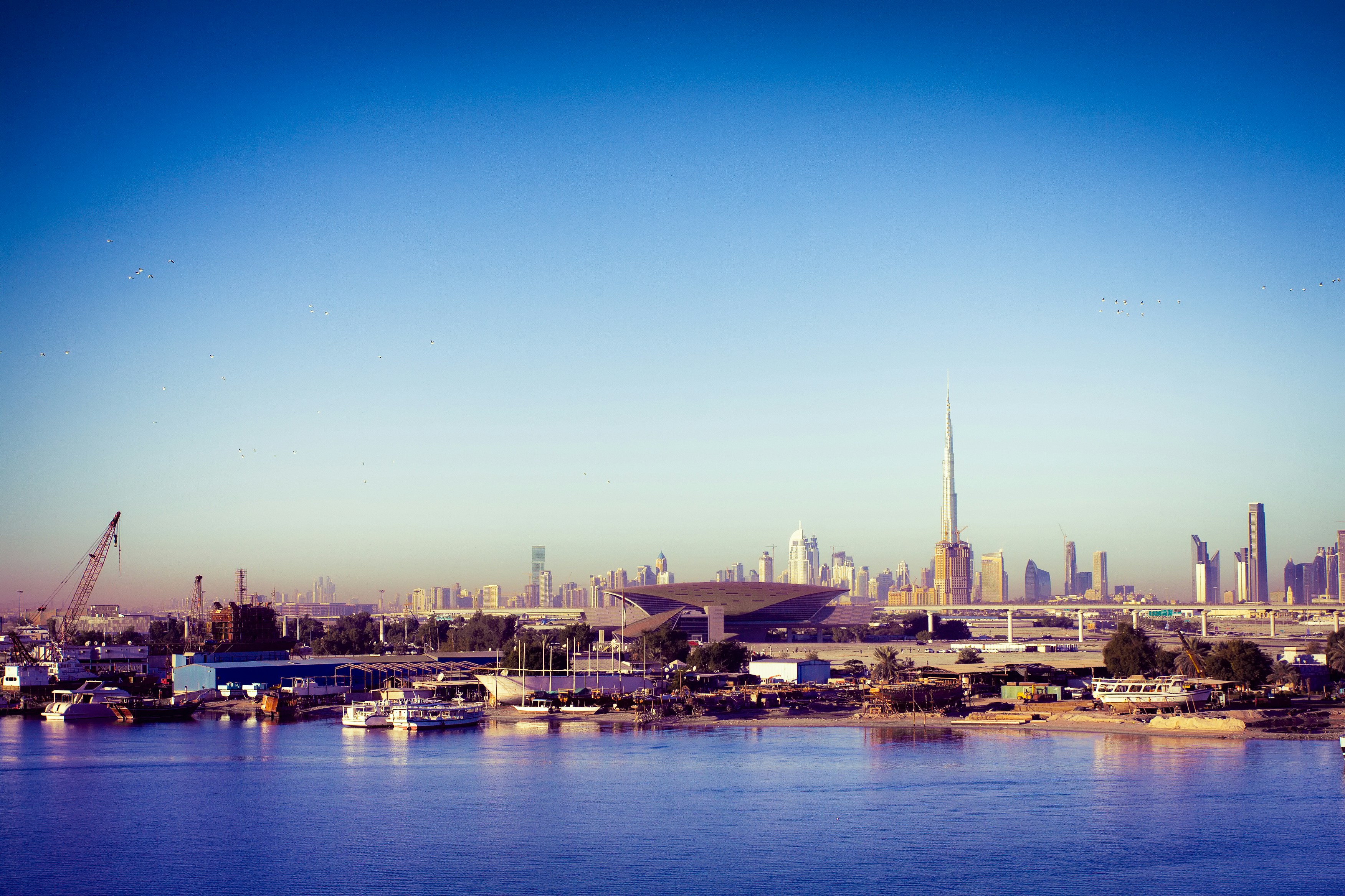 Free Unsplash photo from Nan Zhang