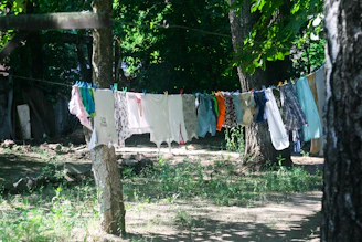 A collection of various used underwear styles displayed on a rustic clothesline under warm sunlight.