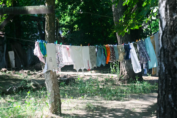 A collection of various used underwear styles displayed on a rustic clothesline under warm sunlight.