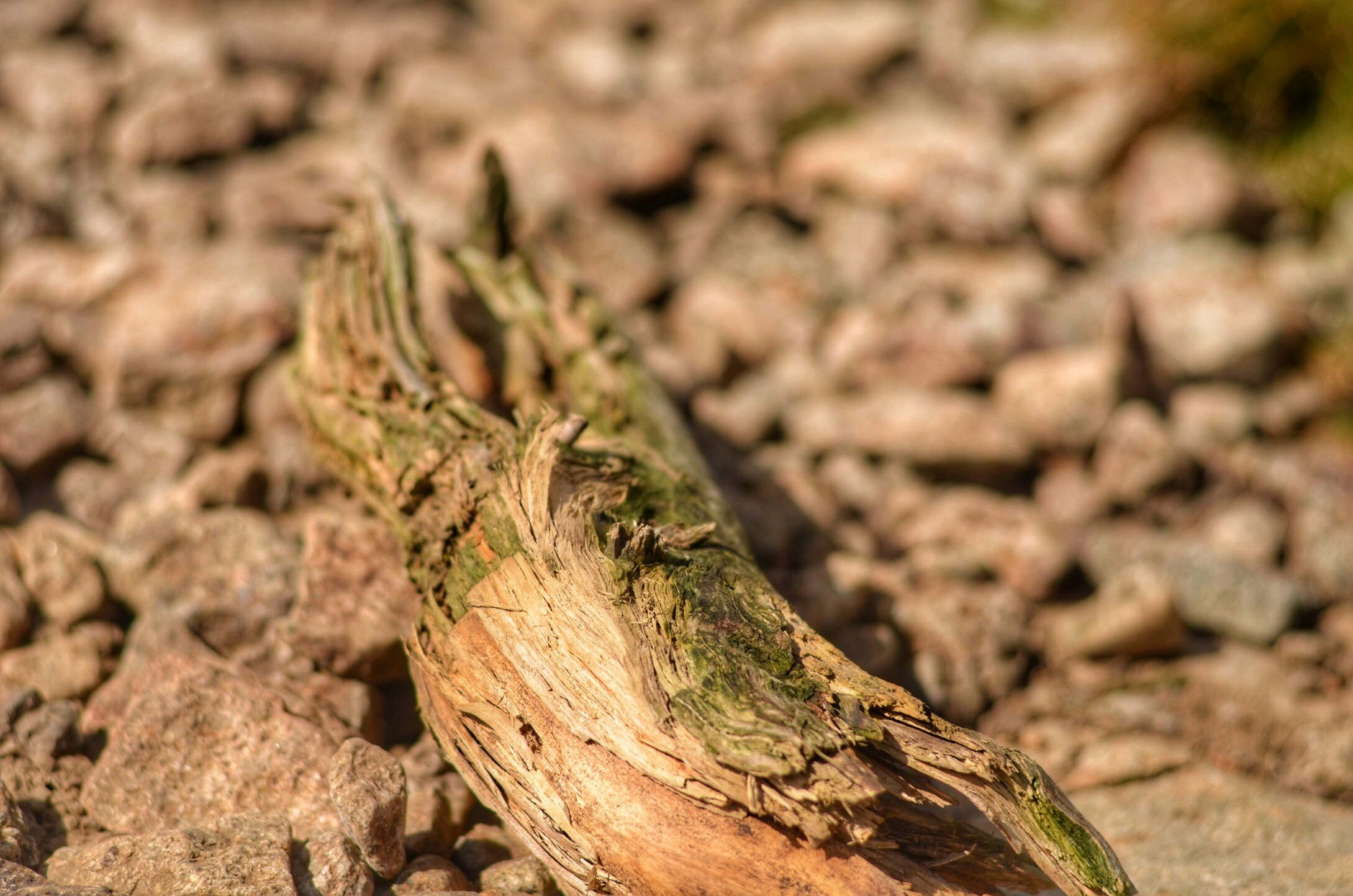 Free Unsplash photo from Maria Soledad