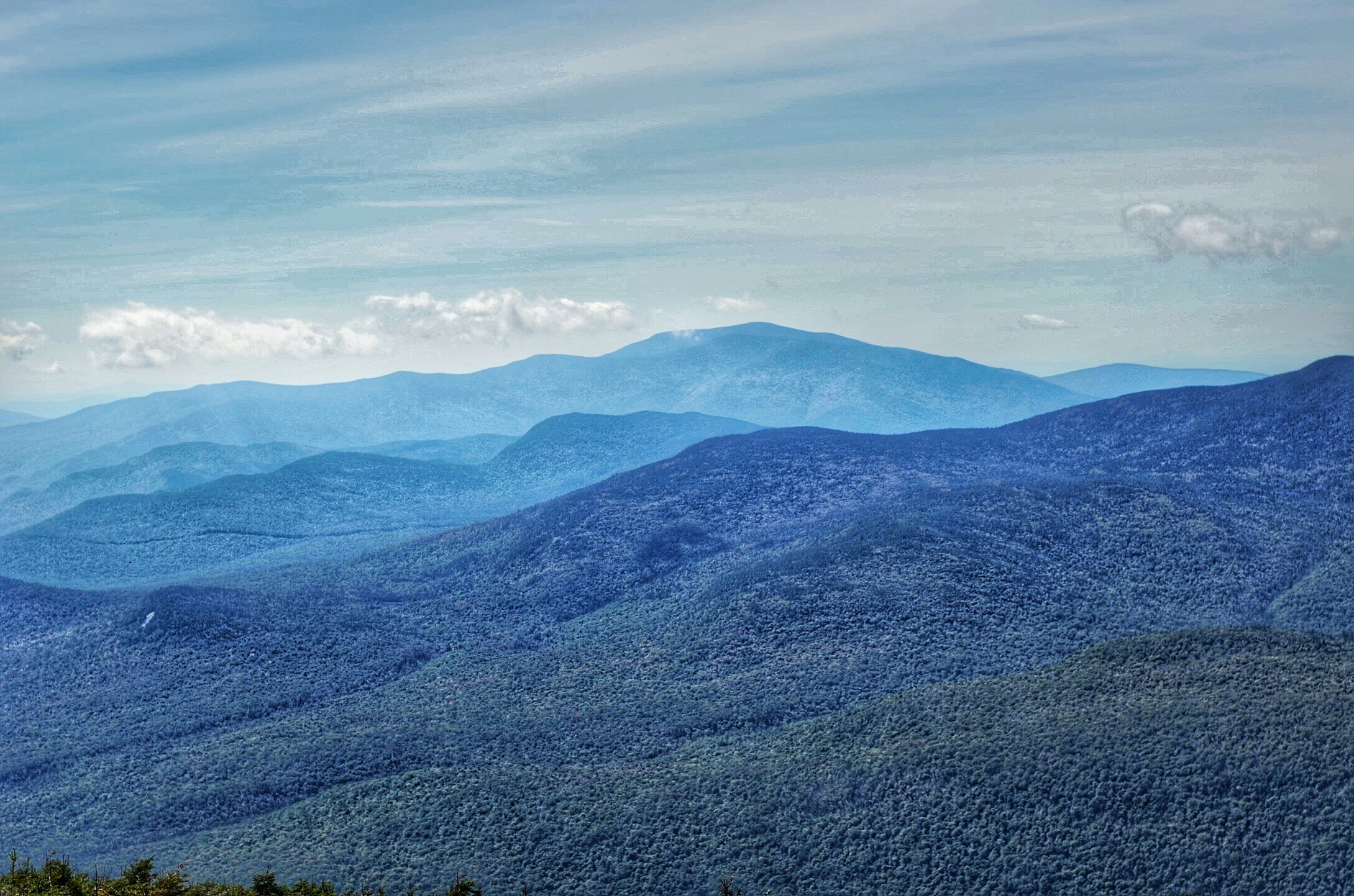 Free Unsplash photo from Maria Soledad