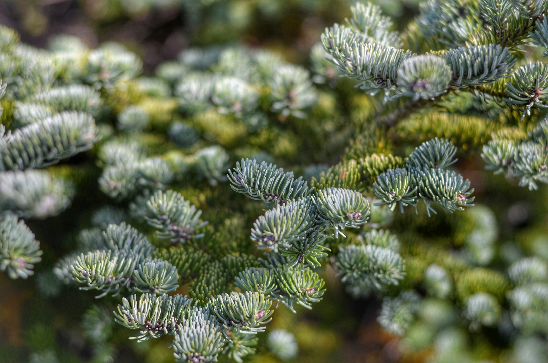 Free Unsplash photo from Maria Soledad