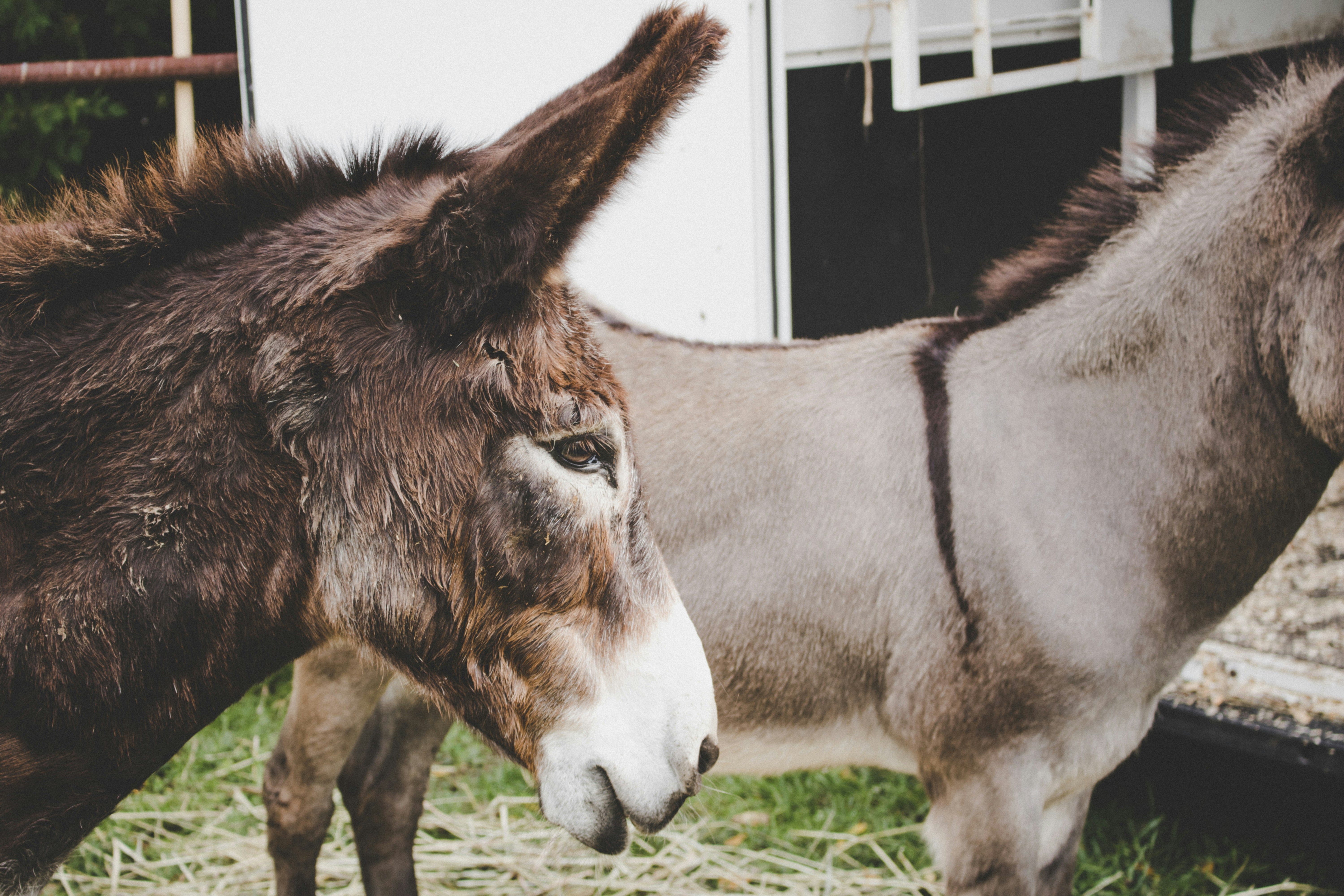 Free Unsplash photo from Ethan Unzicker