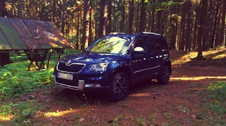 A shiny blue SUV with roof racks parked near a forest trail
