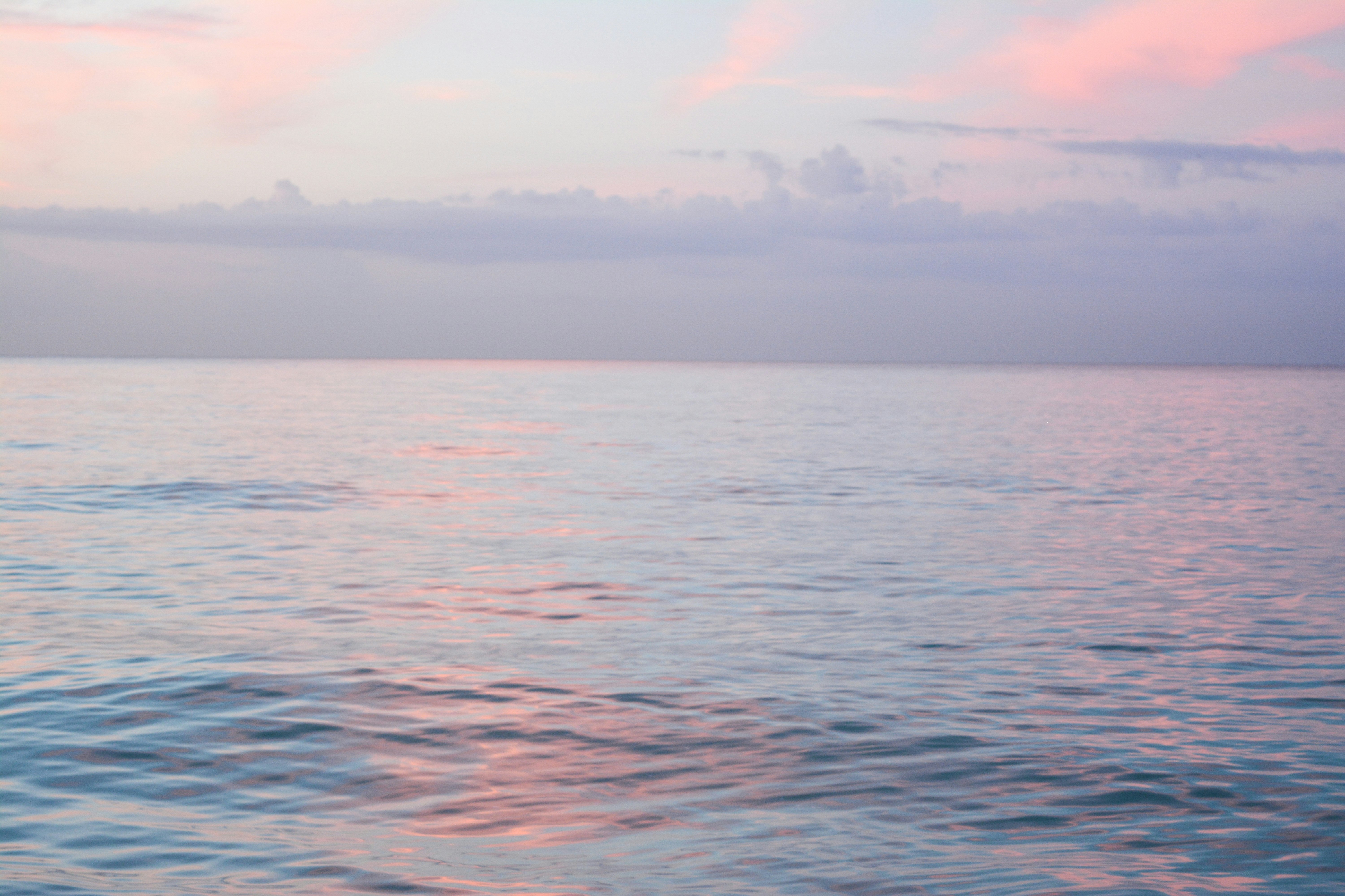 Free Unsplash photo from Viet Thi Nguyen