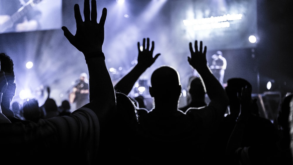 silhouette of crowd in concert grounds