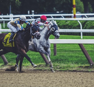 two man riding horse while racing