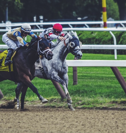 two man riding horse while racing