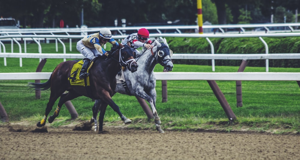 two man riding horse while racing