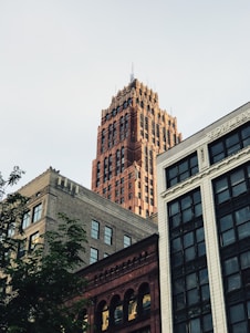 low angle photo of high-rise building
