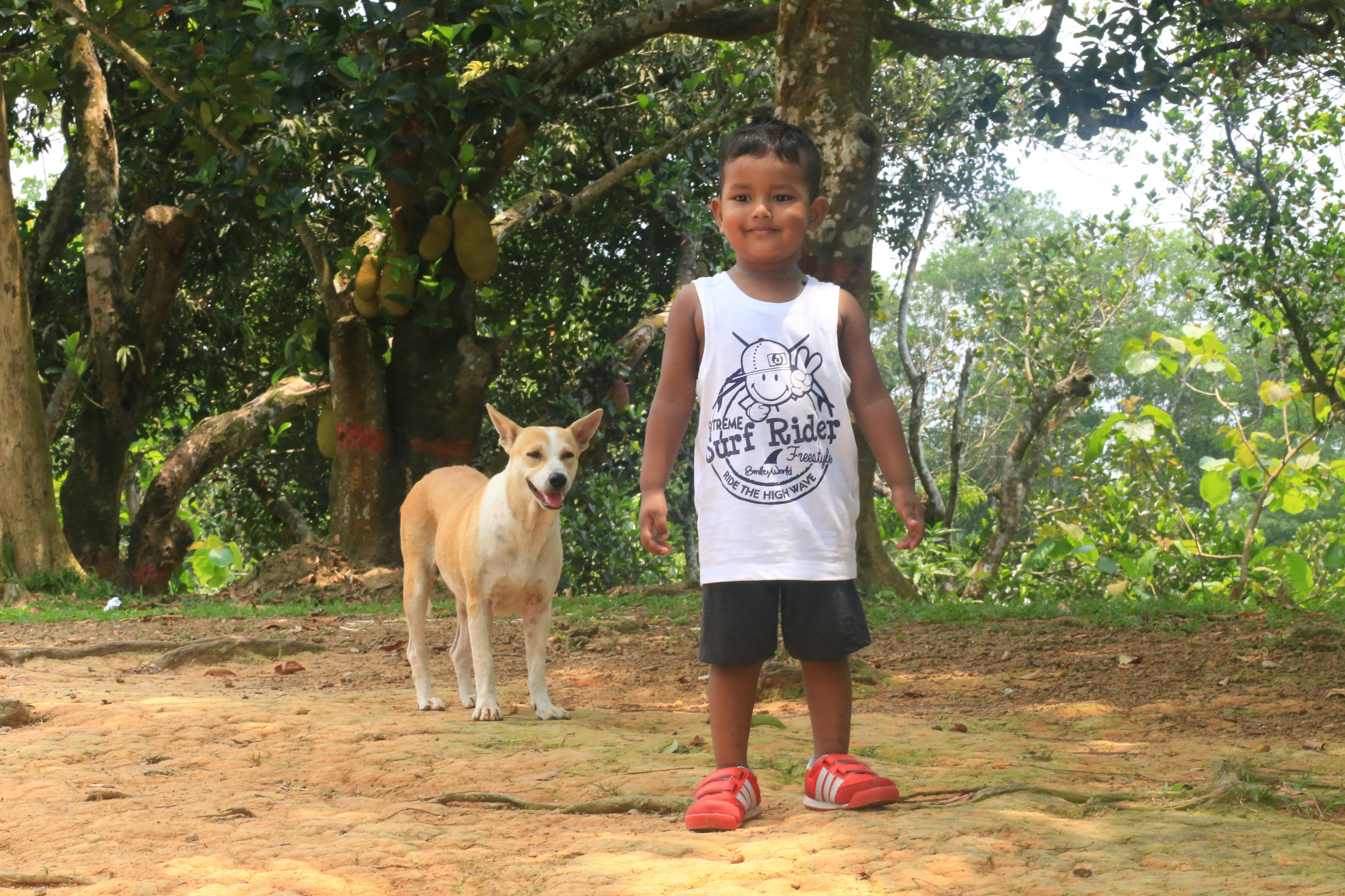 Free Unsplash photo from Tanvir Ahmed Fahim