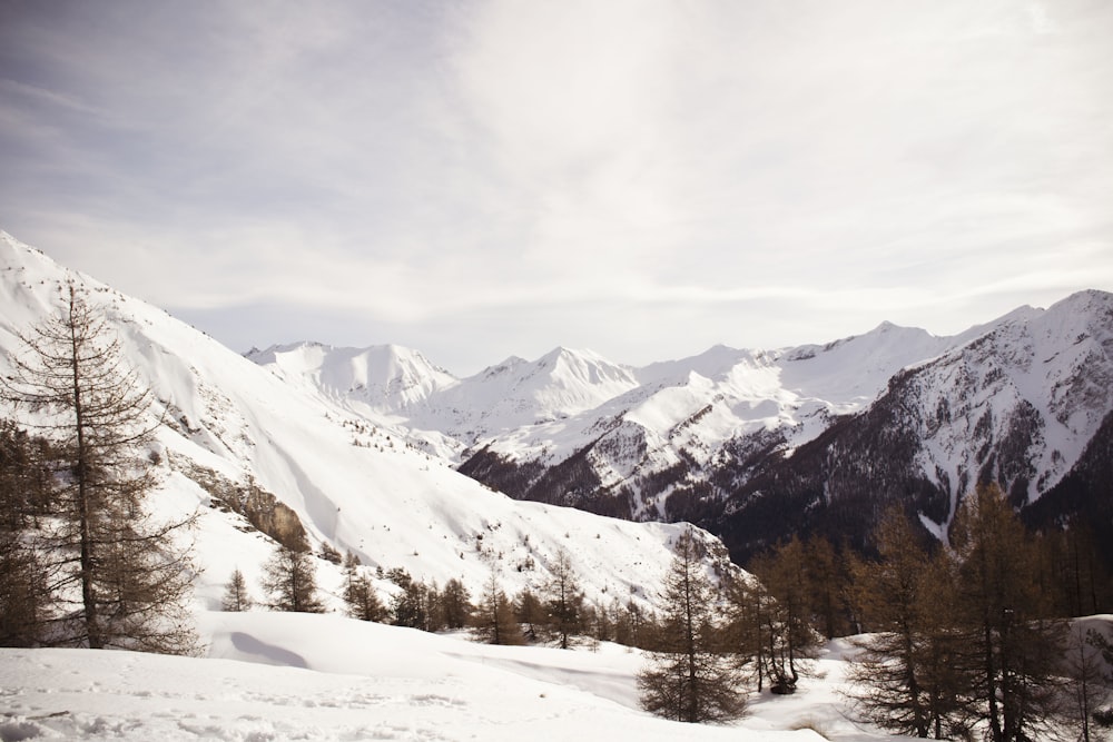 snowy mountain