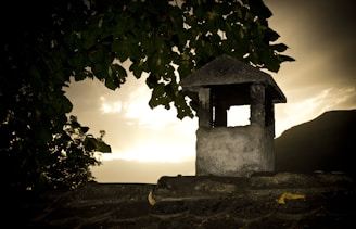 A friendly chimney sweep in CA cleaning a chimney at sunset with mountains in the background.