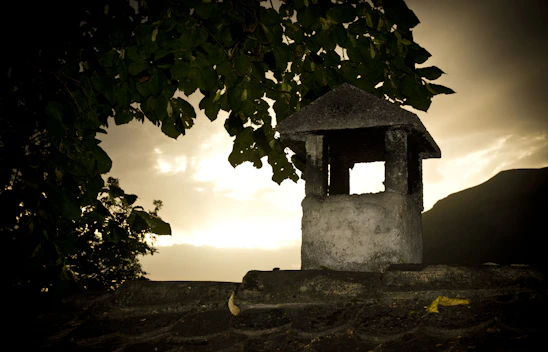 A friendly technician fixing a chimney in a cozy San Jose neighborhood at sunset.
