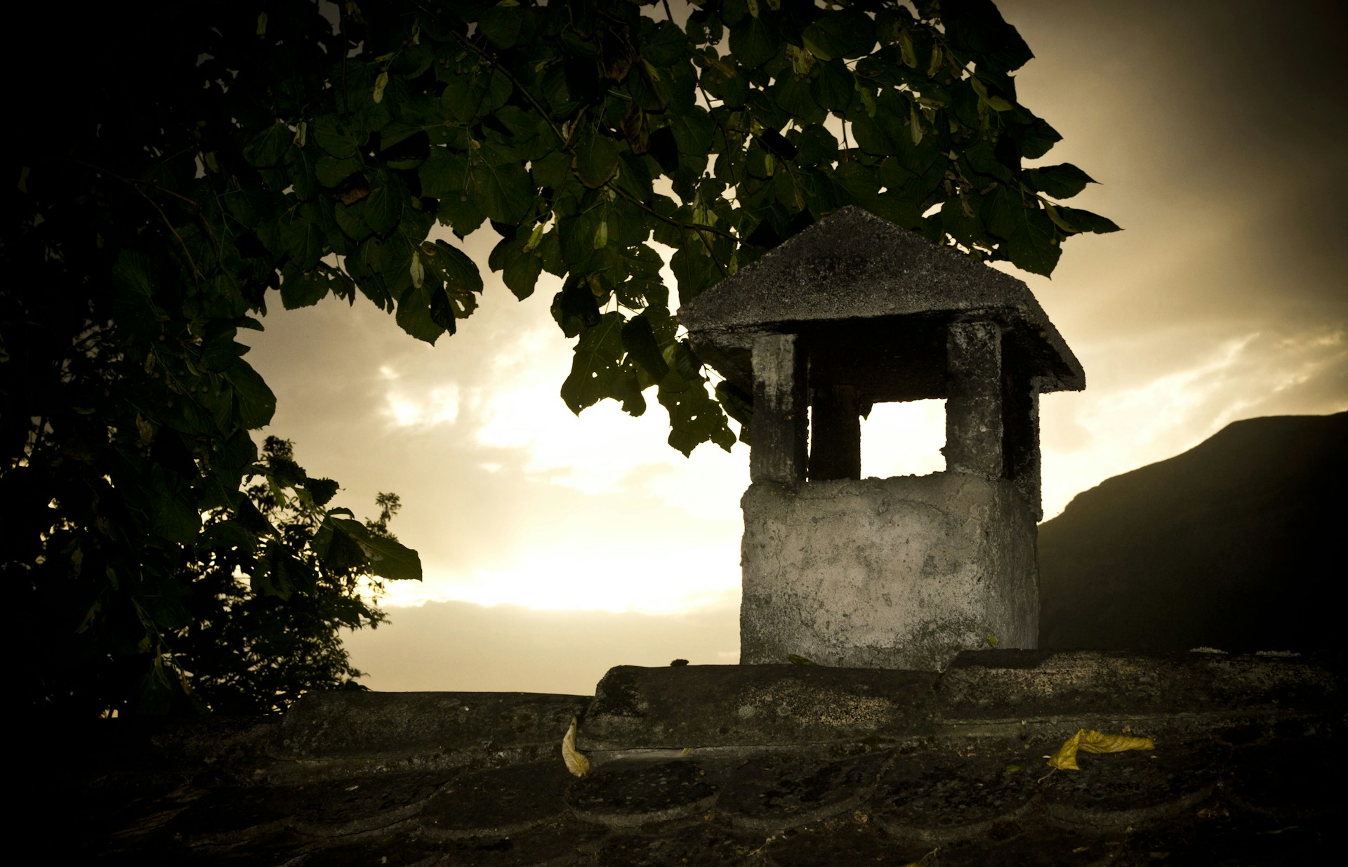 black and white bed linen