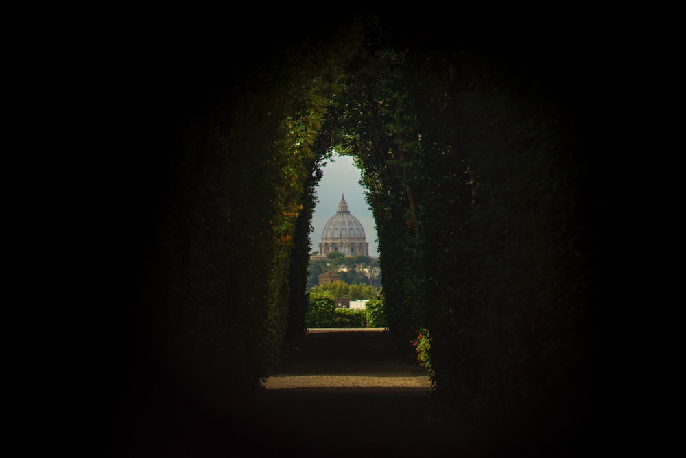 green hallway towards mosque