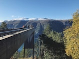 A vibrant group of tourists enjoying a scenic mountain viewpoint during a guided adventure tour.