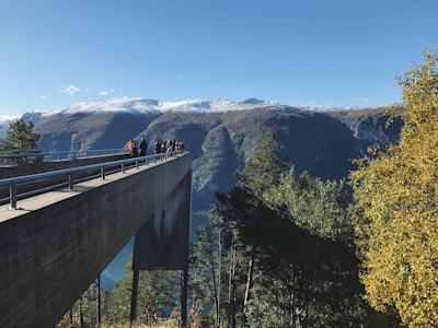 A vibrant group of tourists enjoying a scenic mountain viewpoint during a guided adventure tour.