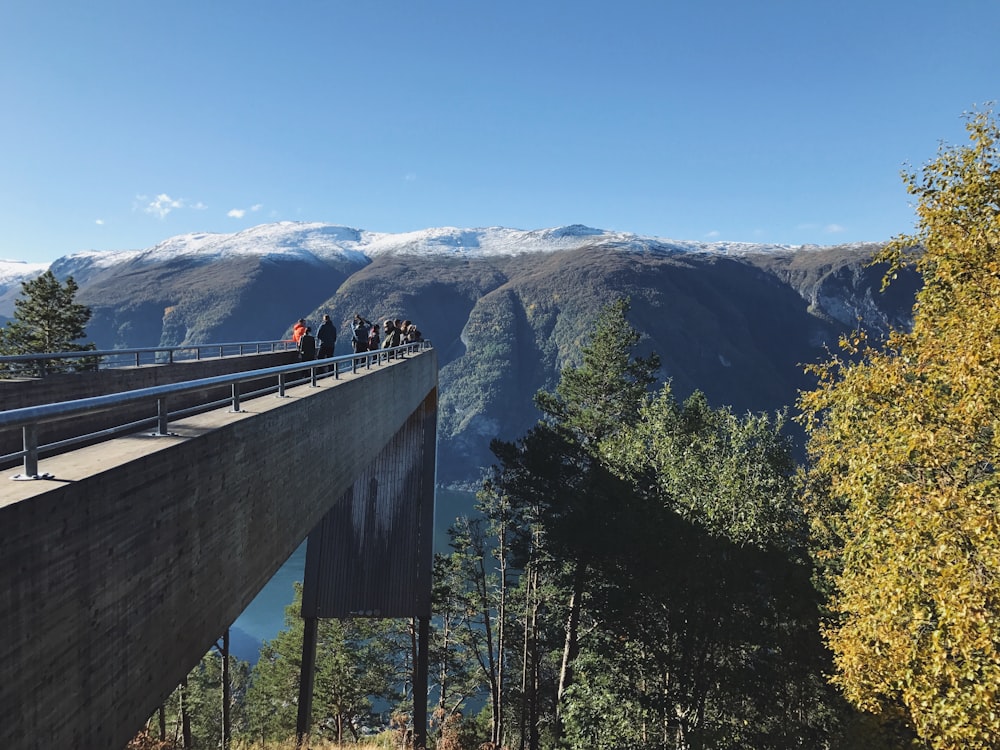 people on bridge