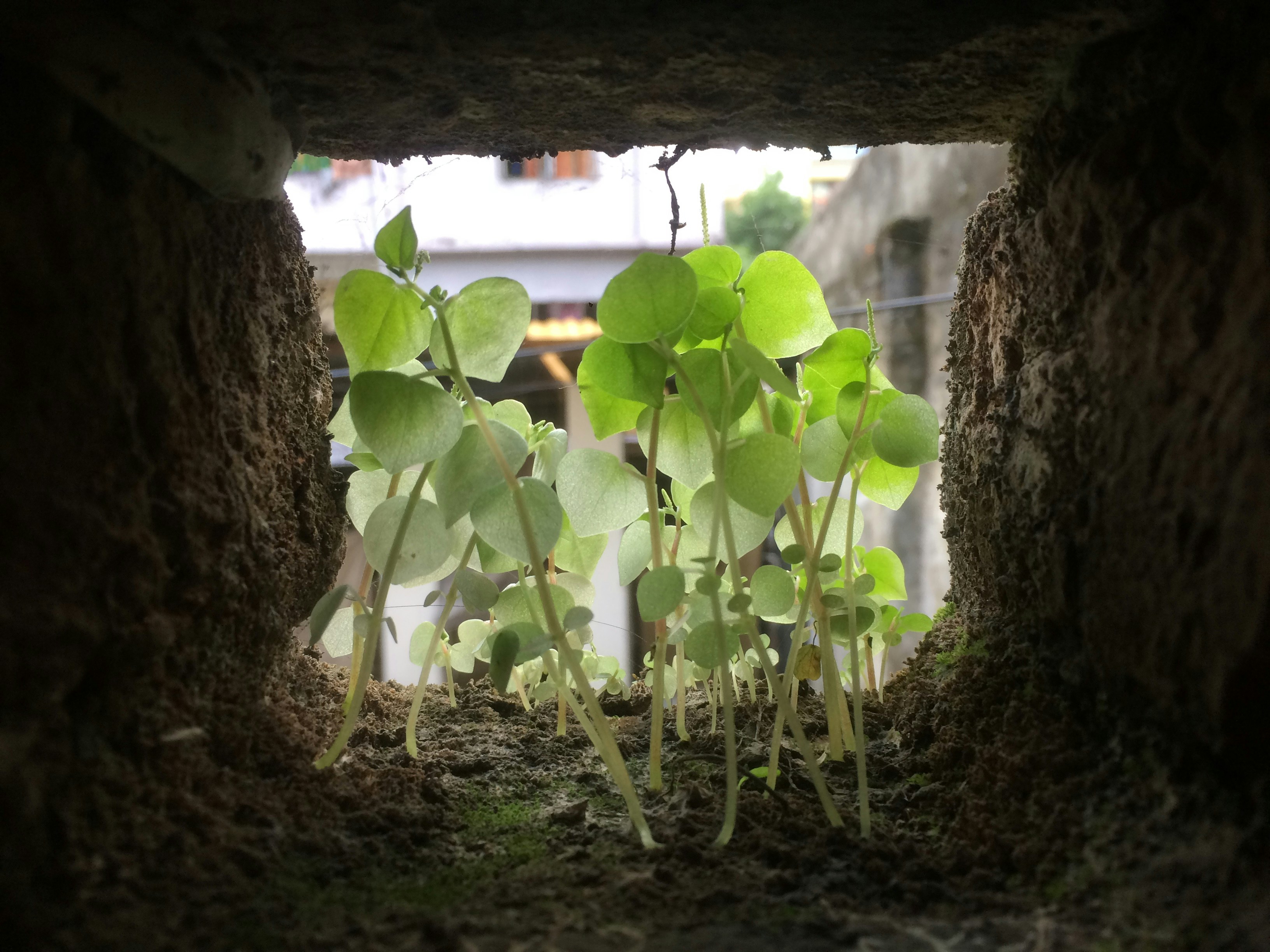 Free Unsplash photo from Tanvir Ahmed Fahim